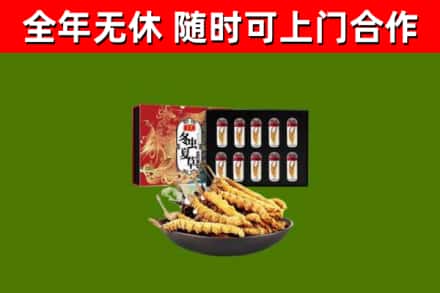 桥东烟酒回收冬虫夏草礼盒.jpg