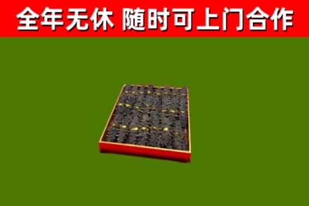 桥东回收海参
